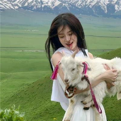 无怨无悔 在线观看