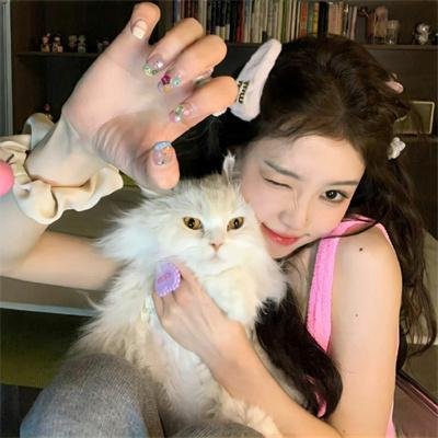 奇怪的猫咪 在线观看